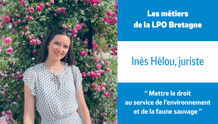 Les métiers de la LPO Bretagne : Inès Hélou, juriste